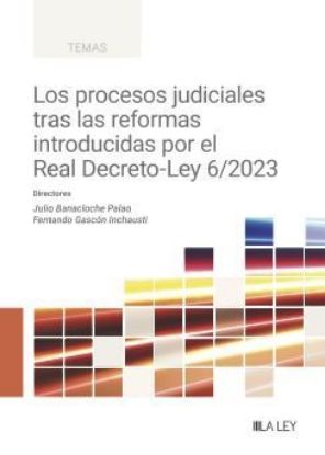 Imagen de Los procesos judiciales tras las reformas introducidas por el Real Decreto-Ley 6/2023