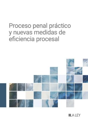 Imagen de Proceso penal práctico y nuevas medidas de eficiencia procesal