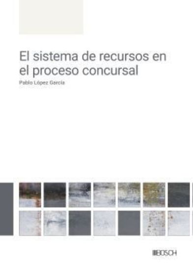 Imagen de El sistema de recursos en el proceso concursal