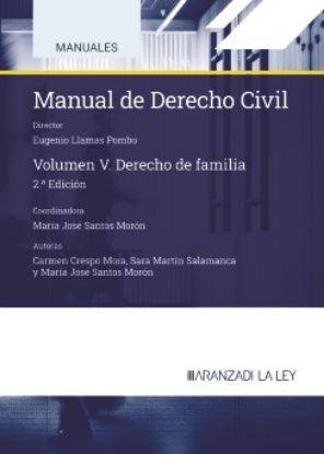 Imagen de Manual de Derecho civil V. Derecho de Familia