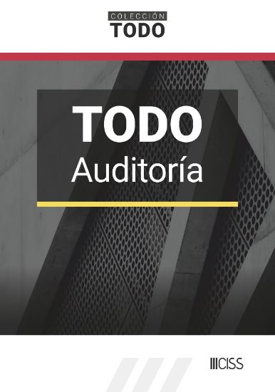 Imagen de Todo Auditoría