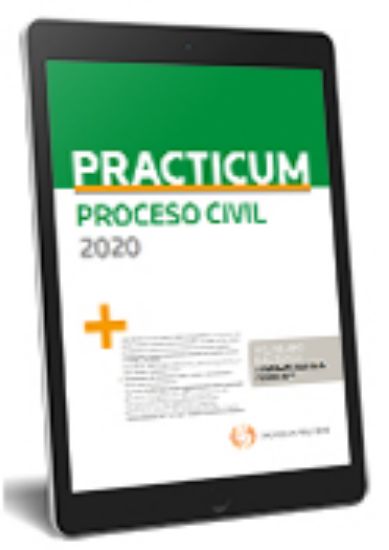 Imagen de Practicum Proceso Civil 2020