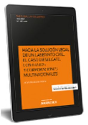 Imagen de Hacia la solución legal de un laberinto civil. El caso Dieselgate. Contratos y corporaciones multinacionales