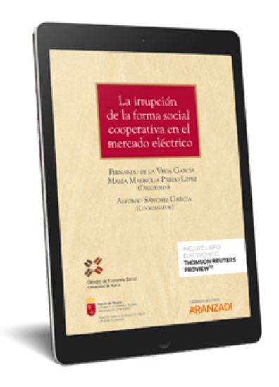 Imagen de La irrupción de la forma social cooperativa en el mercado eléctrico