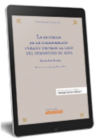 Imagen de La retórica de la colaboración público-privada el caso del suministro de agua