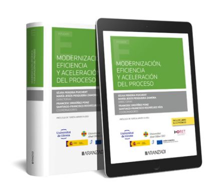 Imagen de Modernización eficiencia y aceleración del proceso (Dúo)