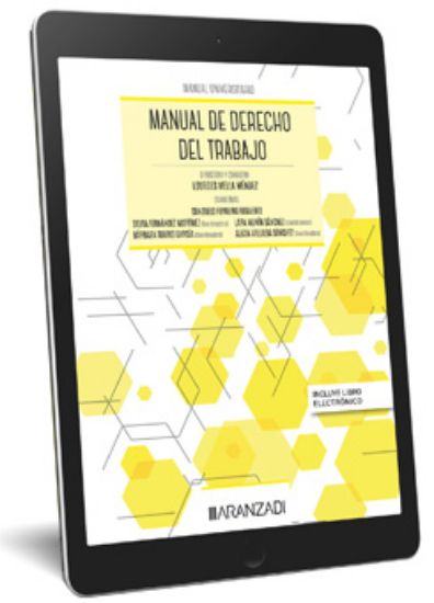 Imagen de Manual de Derecho del Trabajo 