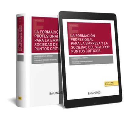 Imagen de La formación profesional para la empresa y la sociedad del siglo XXI: puntos críticos 1ª Ed. 