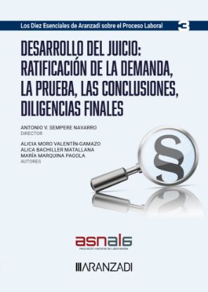 Imagen de Desarrollo del juicio: ratificación de la demanda, la prueba, las conclusiones, diligencias finales 