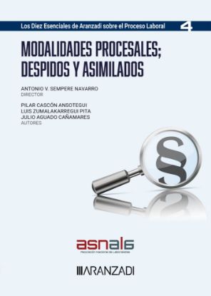 Imagen de Modalidades procesales; Despidos y asimilados 