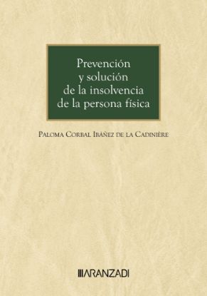 Imagen de Prevención y solución de la insolvencia de la persona física