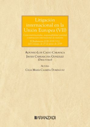 Imagen de Litigación internacional en la unión europea (VII). Crisis matrimoniales, responsabilidad parental y sustracción internacional de menores