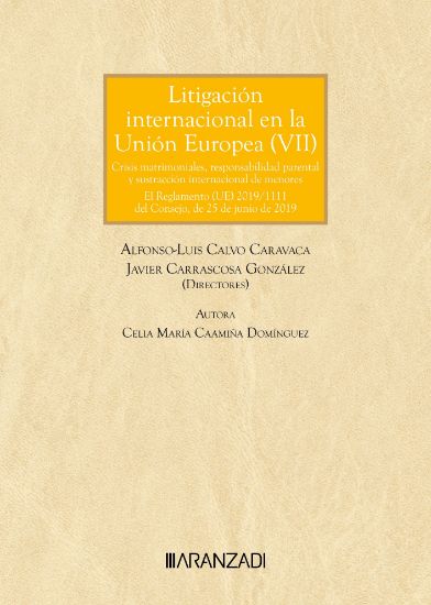 Imagen de Litigación internacional en la unión europea (VII). Crisis matrimoniales, responsabilidad parental y sustracción internacional de menores