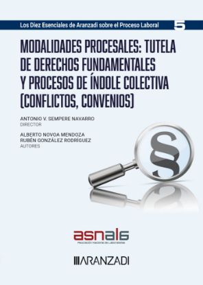 Imagen de Modalidades procesales: tutela de derechos fundamentales y procesos de índole colectiva (conflictos, convenios)