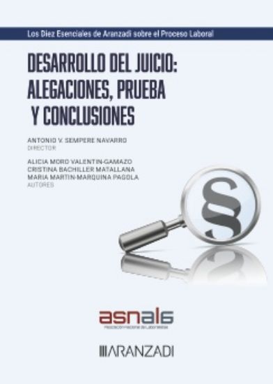 Imagen de Desarrollo del Juicio: Alegaciones, Prueba y Conclusiones 