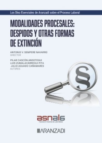 Imagen de Modalidades Procesales: Despidos y Otras Formas de Extinción 