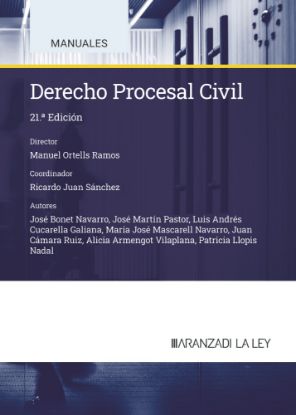 Imagen de Derecho Procesal Civil. 21ª Edición