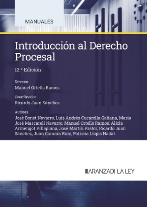 Imagen de Introducción al Derecho Procesal (12.ª Edición)