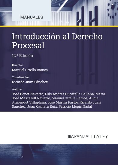 Imagen de Introducción al Derecho Procesal. 12ª edición