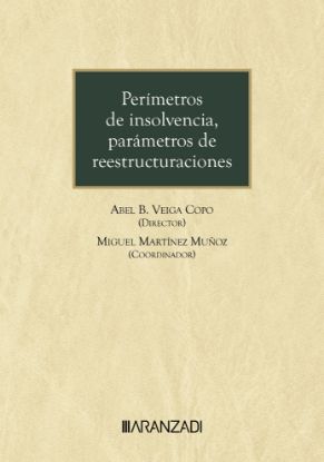 Imagen de Perímetros de insolvencia, parámetros de reestructuraciones