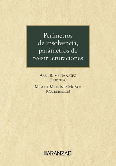 Imagen de Perímetros de insolvencia, parámetros de reestructuraciones