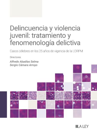 Imagen de Delincuencia y violencia juvenil: tratamiento y fenomenología delictiva