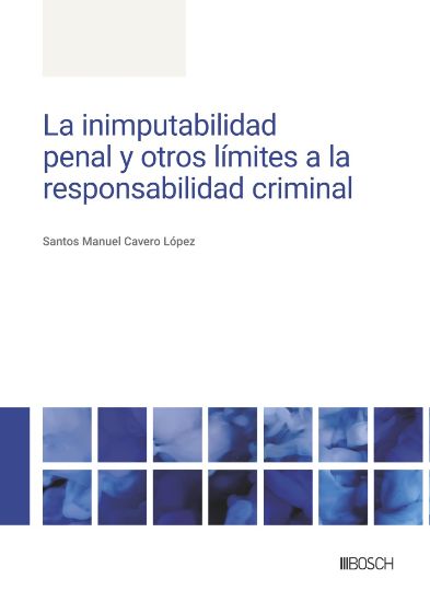 Imagen de La inimputabilidad penal y otros límites a la responsabilidad criminal