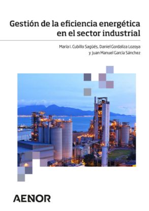 Imagen de Gestión de la eficiencia energética en el sector industrial