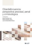 Ciberdelincuencia: perspectiva penal, procesal y criminológica