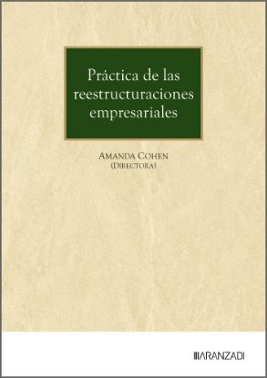 Imagen de Práctica de las reestructuraciones empresariales