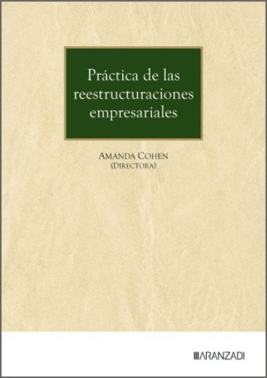 Imagen de Práctica de las reestructuraciones empresariales