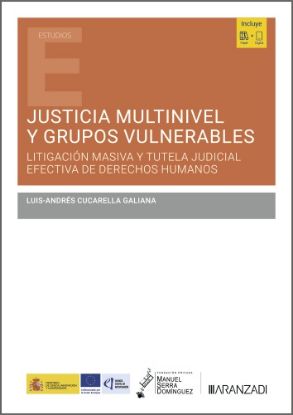 Imagen de Justicia multinivel y grupos vulnerables