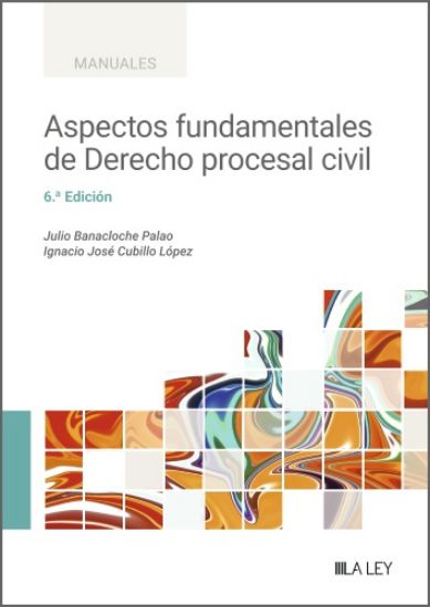 Imagen de Aspectos fundamentales de Derecho procesal civil (6.ª Edición)