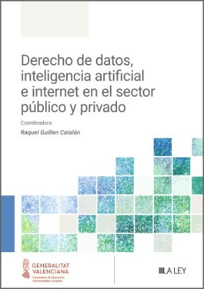 Imagen de Derecho de datos, inteligencia artificial e internet en el sector público y privado
