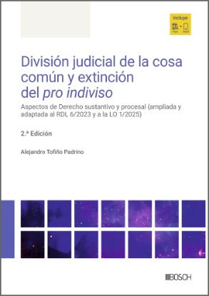 Imagen de División judicial de la cosa común y extinción del pro indiviso