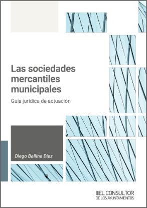 Imagen de Las sociedades mercantiles municipales