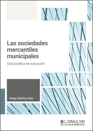 Imagen de Las sociedades mercantiles municipales