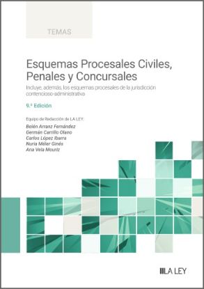 Imagen de Esquemas Procesales Civiles, Penales y Concursales