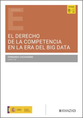 Imagen de El Derecho de la competencia en la era del «Big Data»