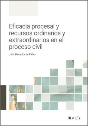 Imagen de Eficacia procesal y recursos ordinarios y extraordinarios en el proceso civil