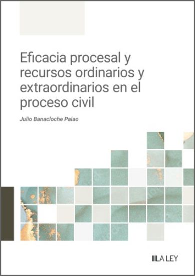 Imagen de Eficacia procesal y recursos ordinarios y extraordinarios en el proceso civil