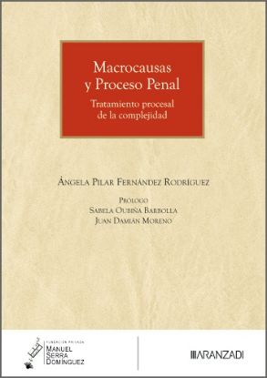 Imagen de Macrocausas y Proceso Penal