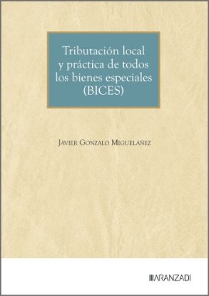 Imagen de Tributación local y práctica de todos los bienes especiales (BICES)