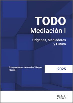 Imagen de TODO Mediación I. Orígenes, Mediadores y Futuro