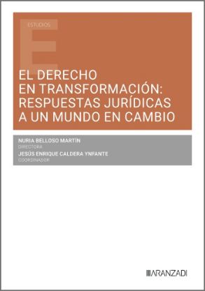 Imagen de El Derecho en transformación: respuestas jurídicas a un mundo en cambio