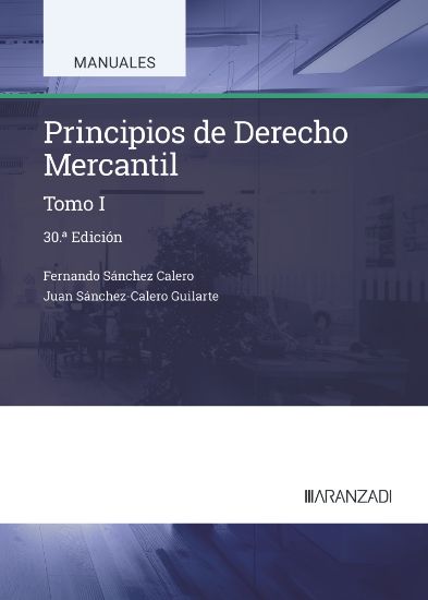 Imagen de Principios de Derecho Mercantil (Tomo I) (30.ª Edición)