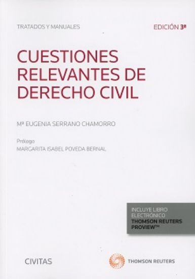 Imagen de Cuestiones relevantes de Derecho Civil