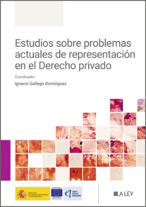 Imagen de Estudios sobre problemas actuales de representación en el Derecho privado