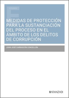 Imagen de Medidas de protección para la sustanciación del proceso en el ámbito de los delitos de corrupción