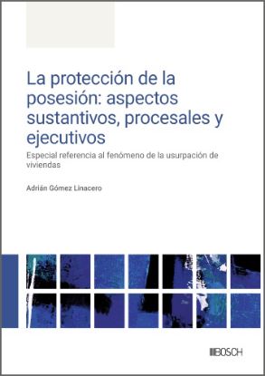 Imagen de La protección de la posesión: aspectos sustantivos, procesales y ejecutivos